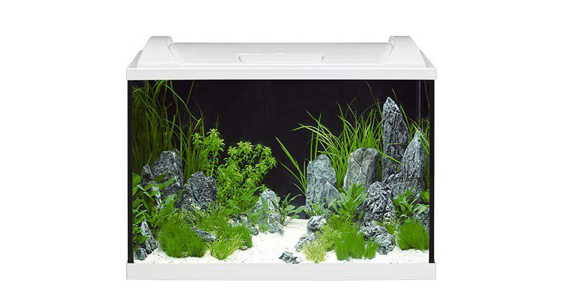 106.4110_image5