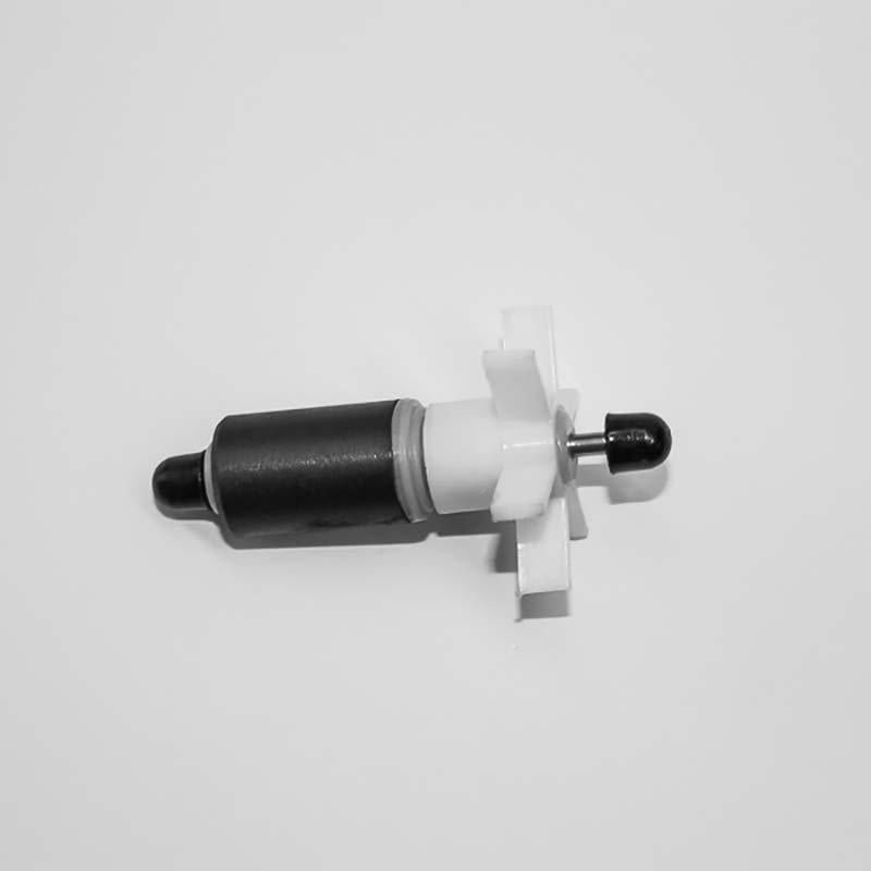 53174662791497_image1