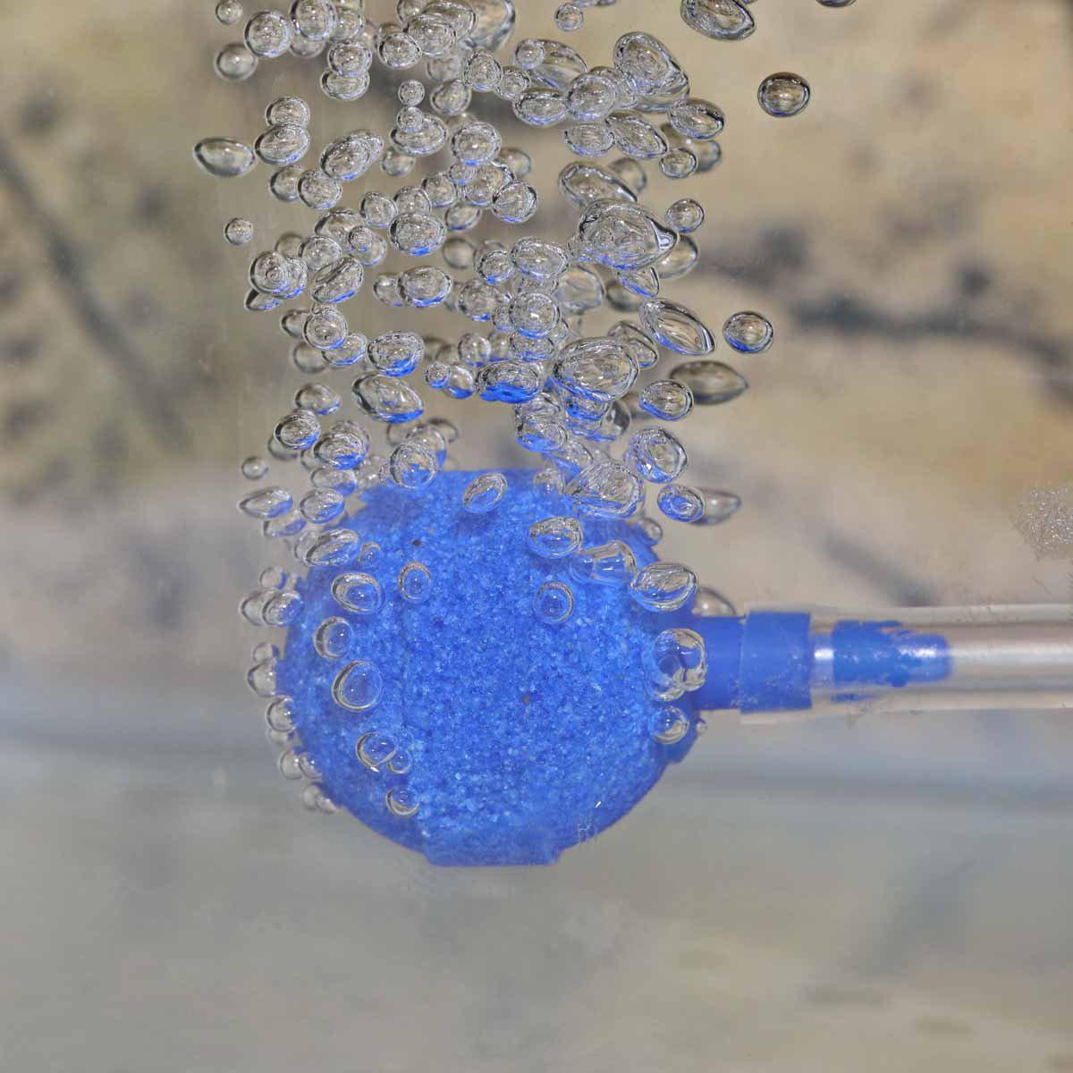126.0916_image3