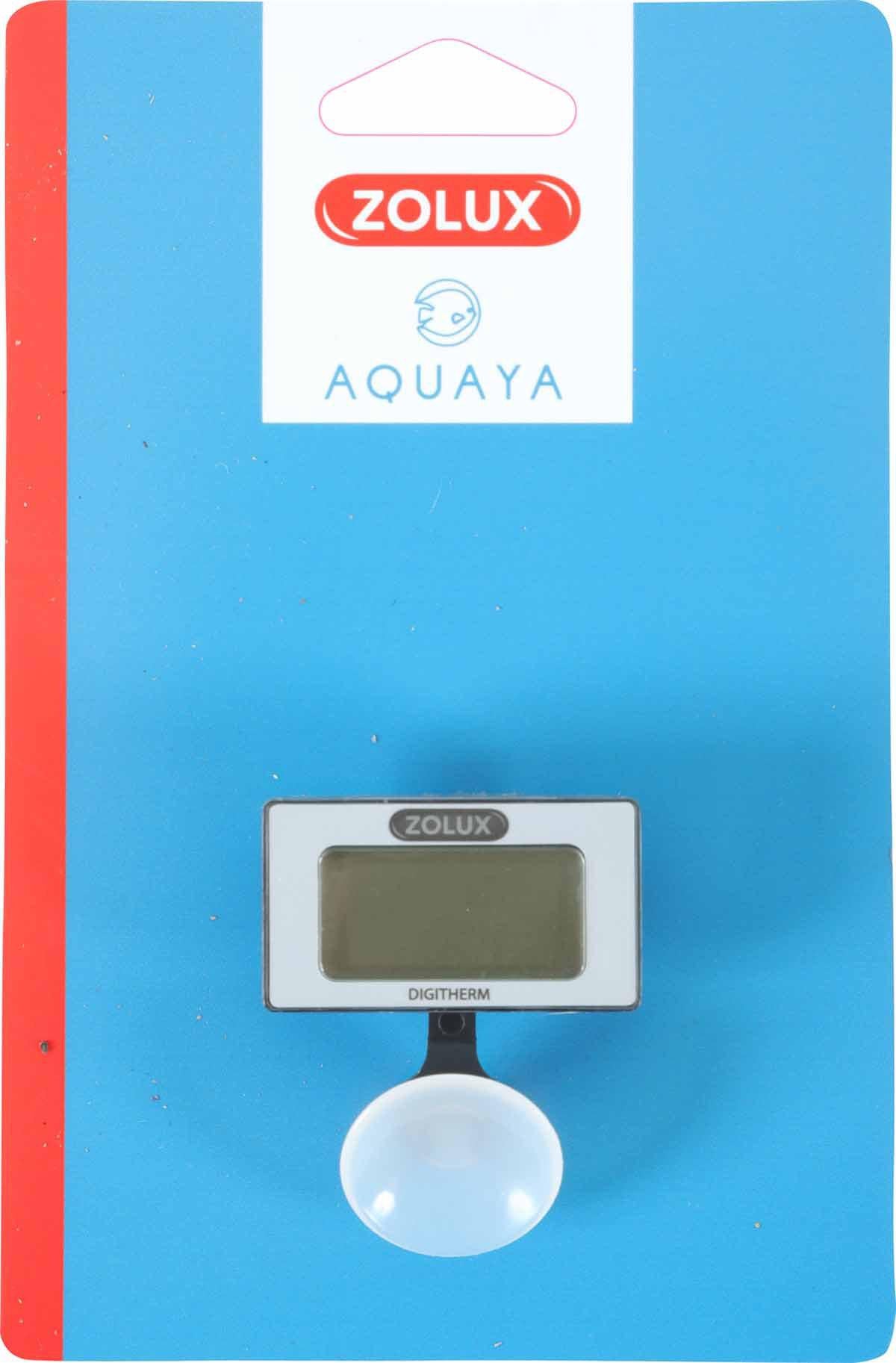 53177797706057_image1