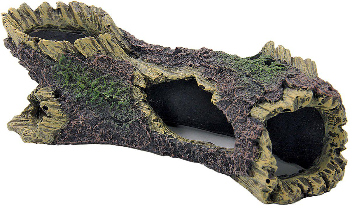 53177227018569_image1