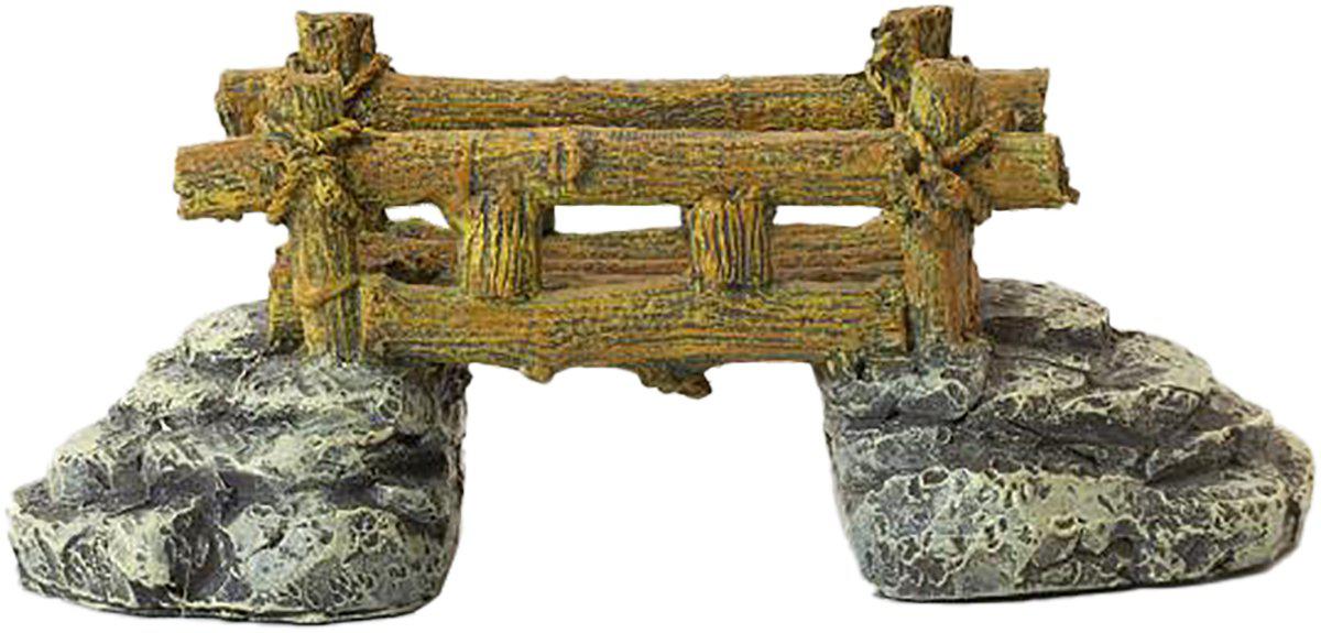 53178579943753_image1