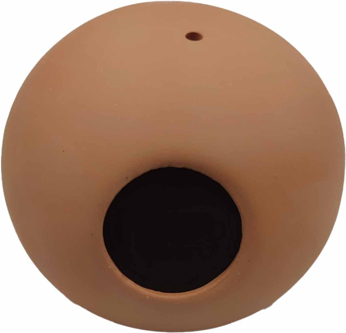 53176595644745_image1
