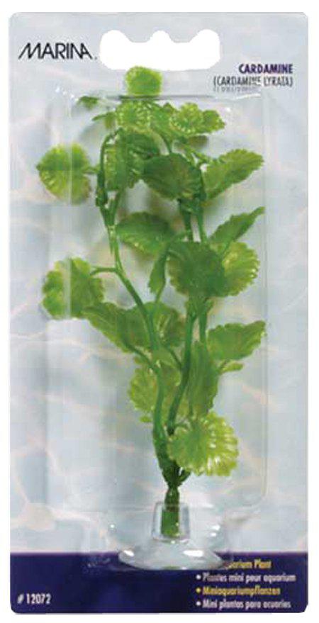 53177850265929_image1