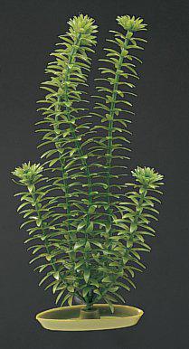 138.2005_image2