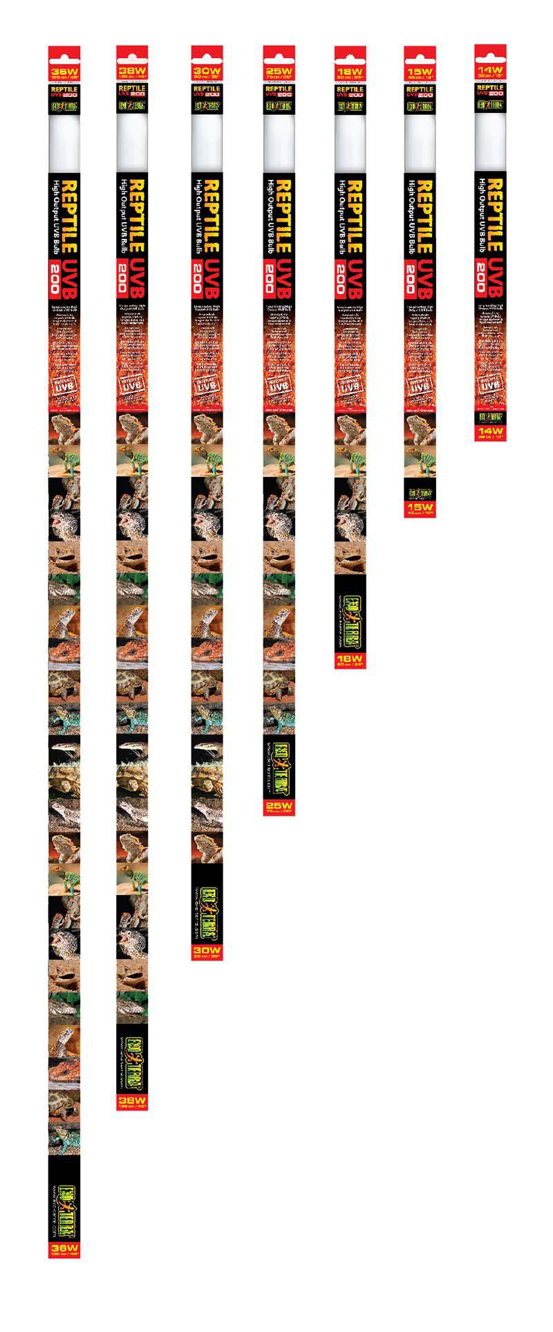 53266666553673_image1