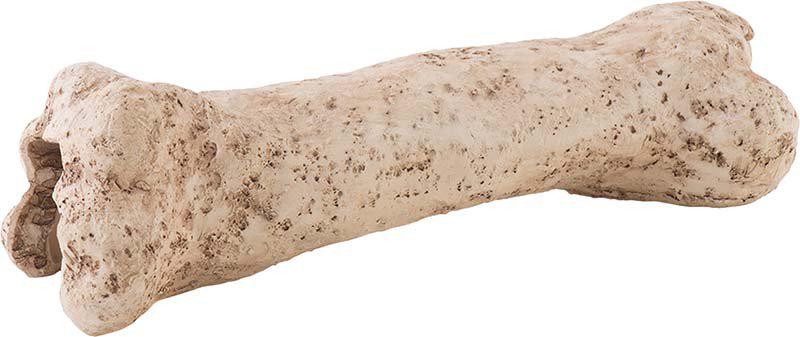 53177666961737_image1