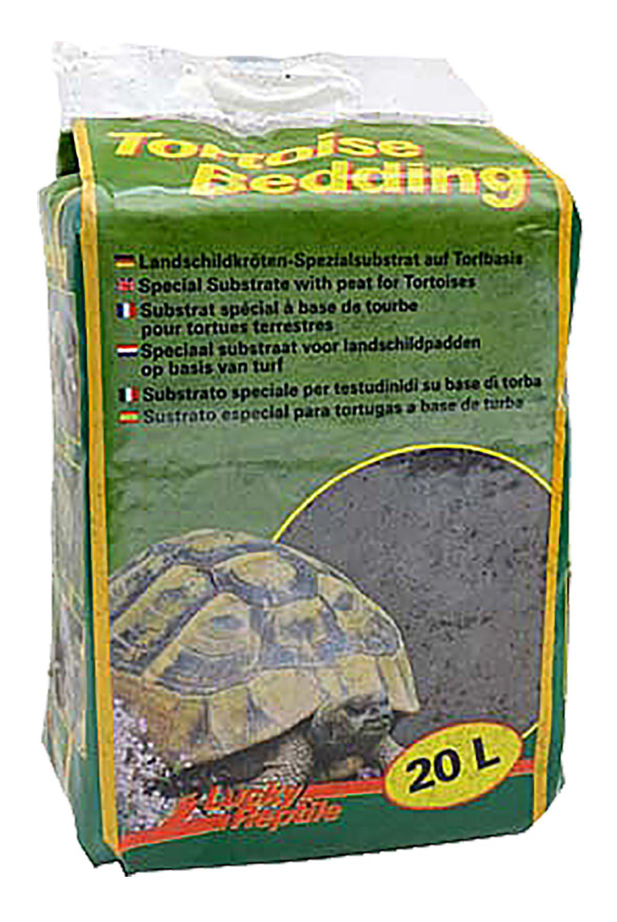 53173762556233_image1
