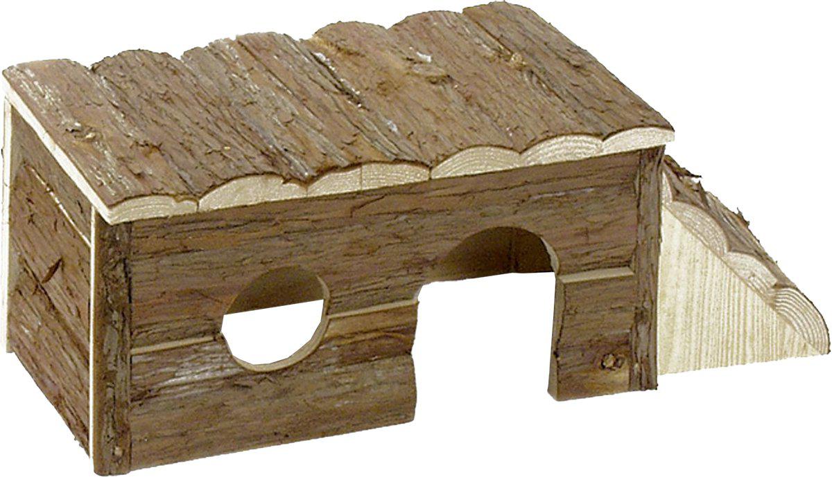 53173984788809_image1