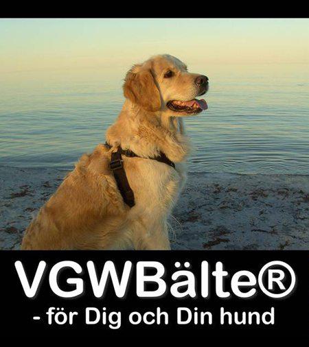 605.1010_image21