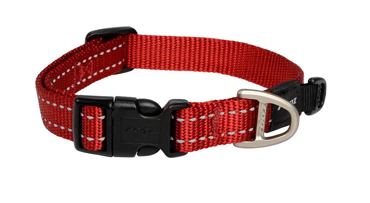 53266465489225_image1