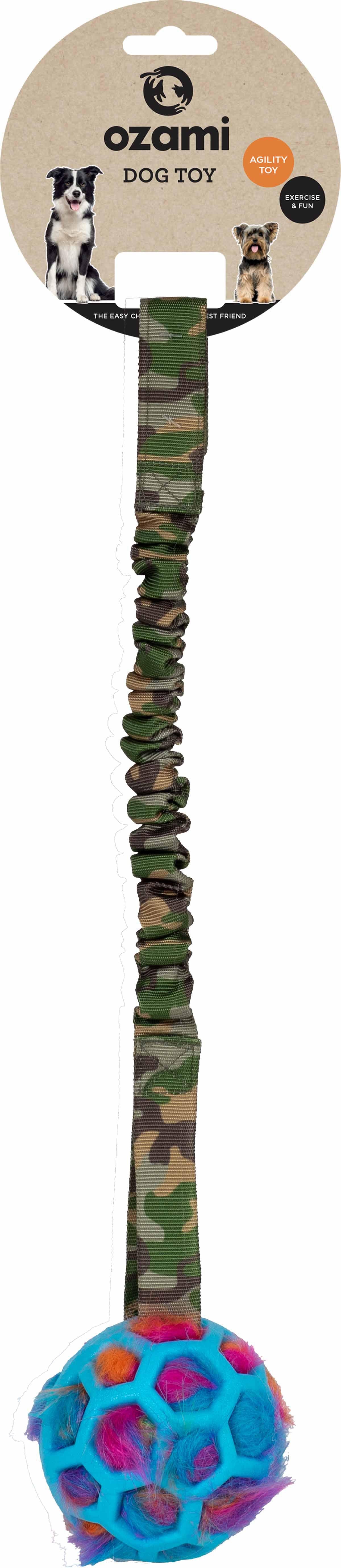 53177235243337_image1