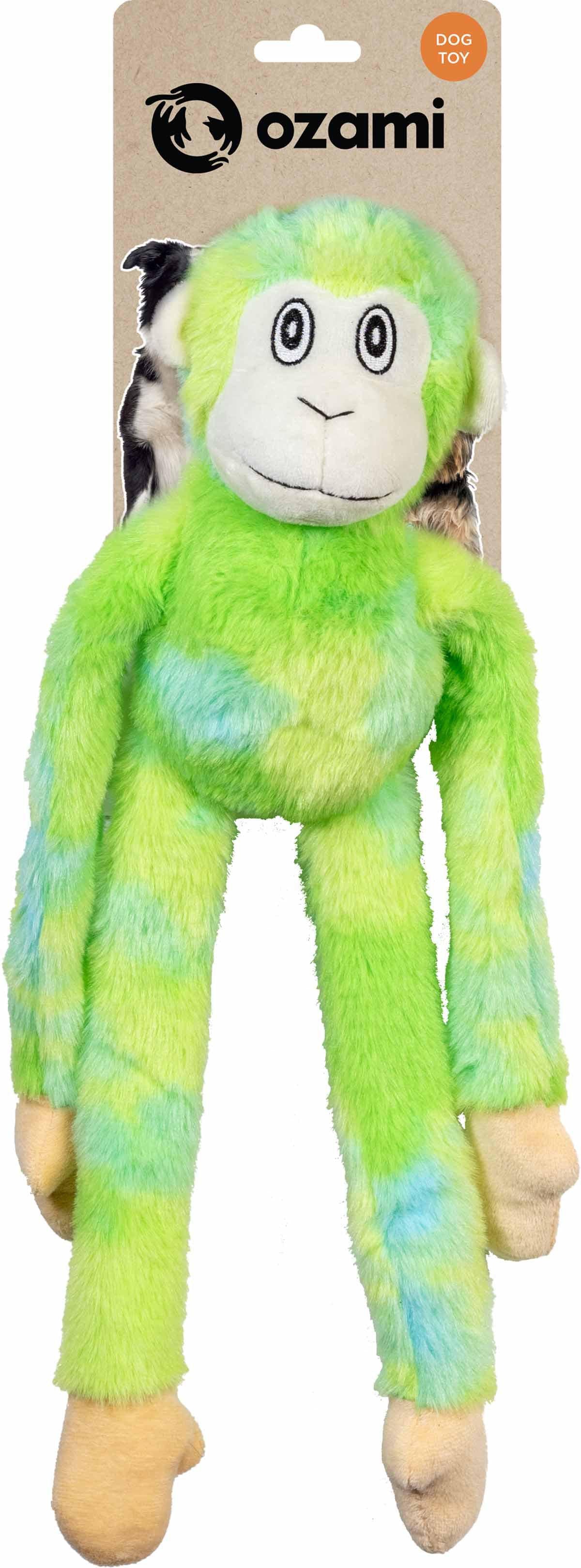 53178242924873_image1