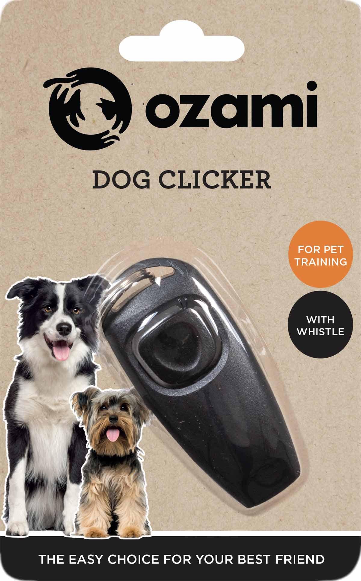 53178873119049_image1