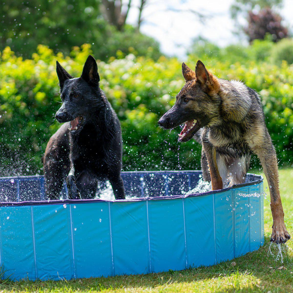 636.8374_image3