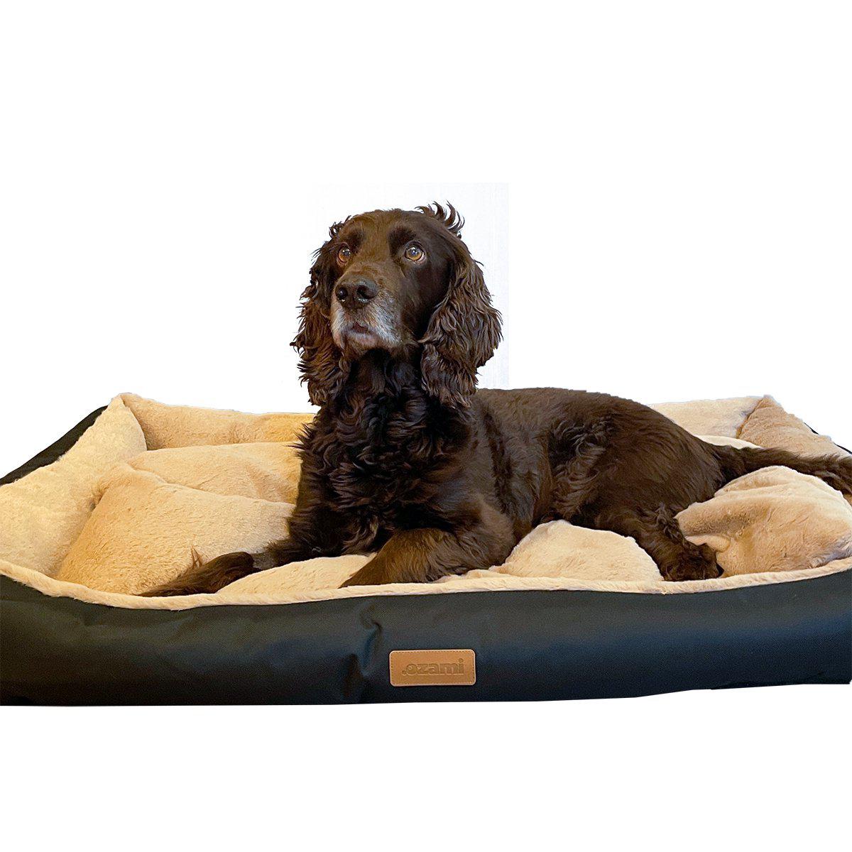 656.7020_image10