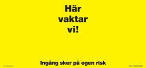53176817353033_image1