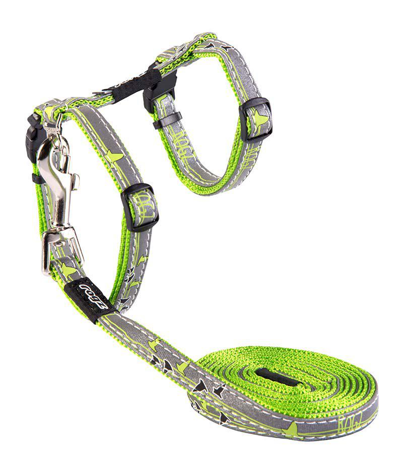 53178932592969_image1