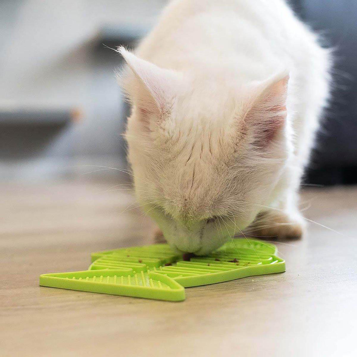 785.5380_image3