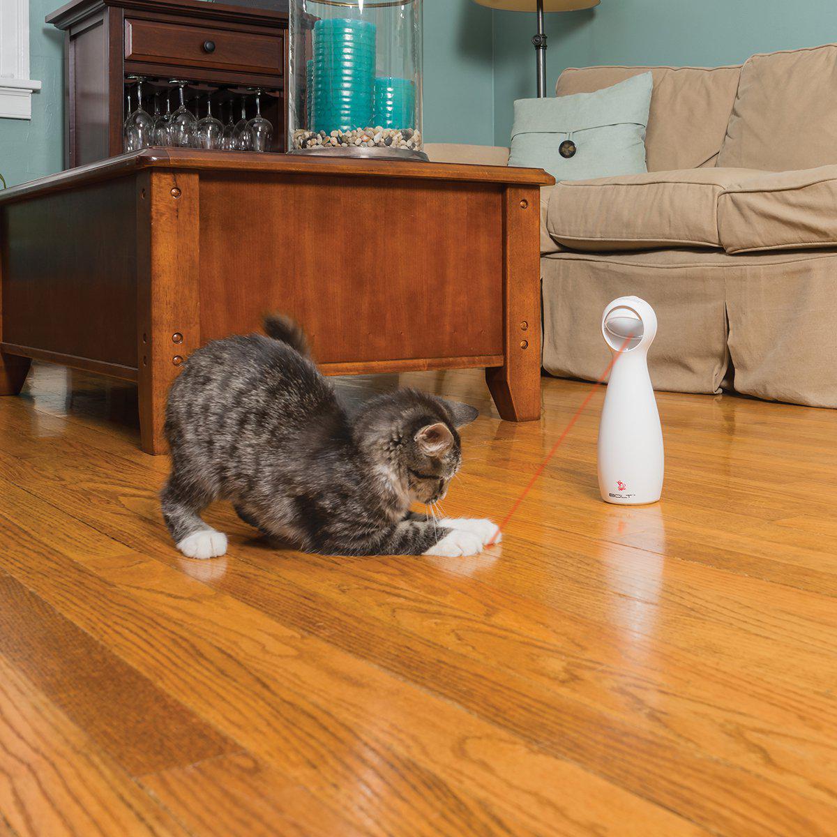787.0260_image4