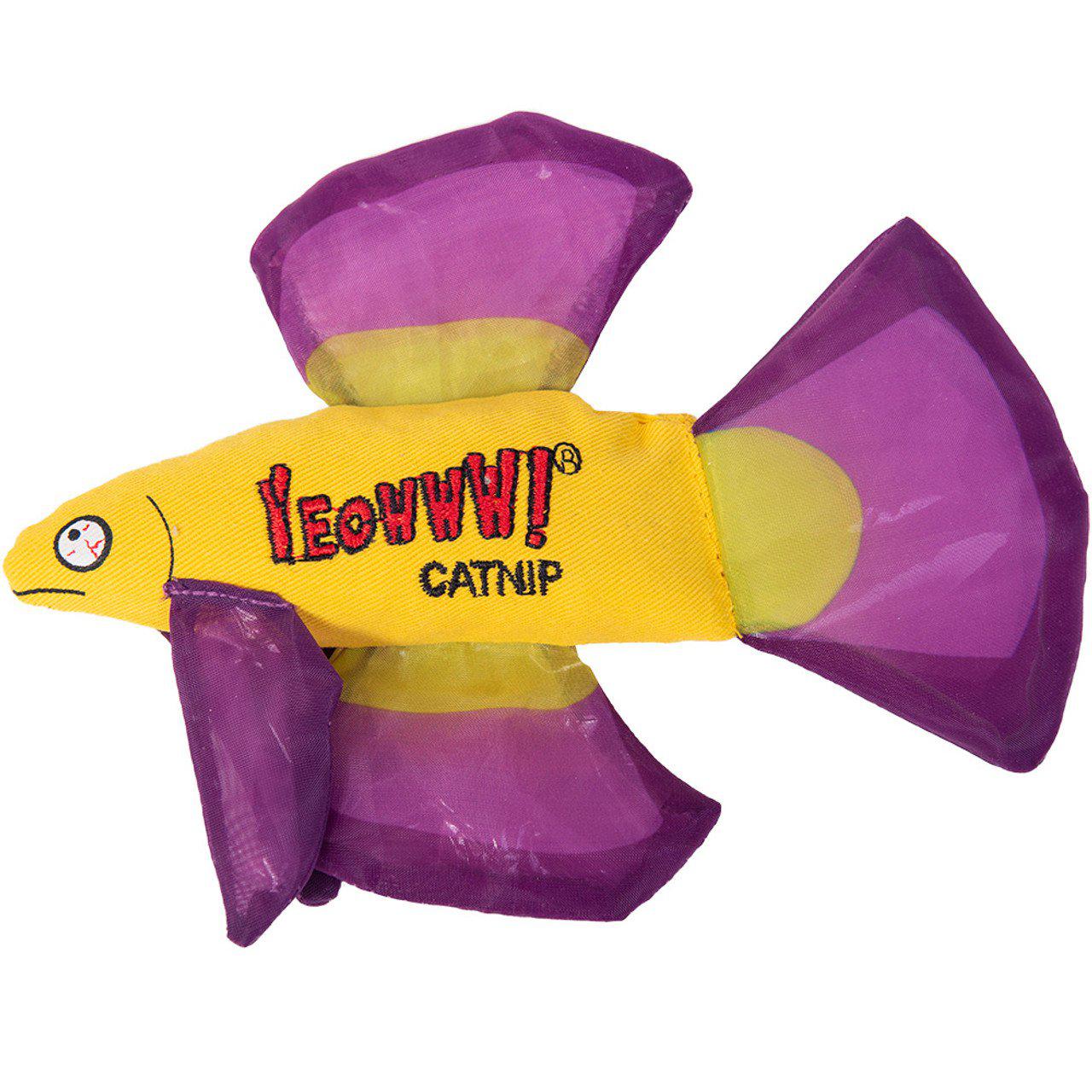 53175767531849_image1