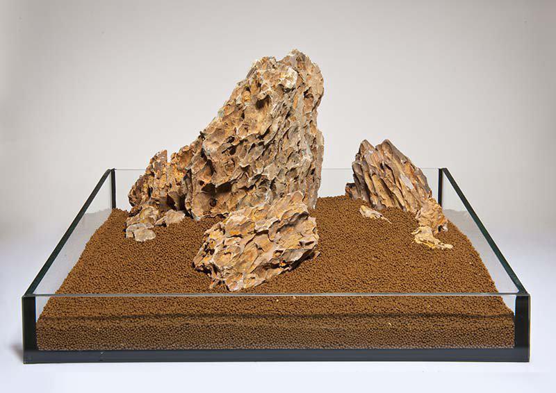 F014_image1